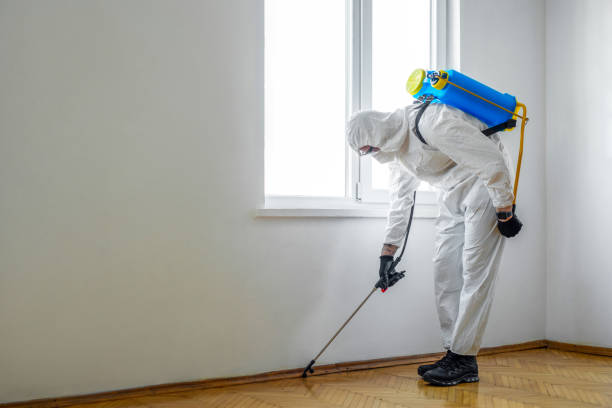 Best Exterminator Services  in Bayou Gauche, LA