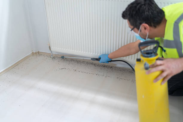 Best Affordable Pest Control Services  in Bayou Gauche, LA