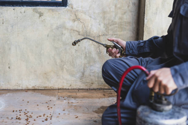 Best Residential Pest Control  in Bayou Gauche, LA